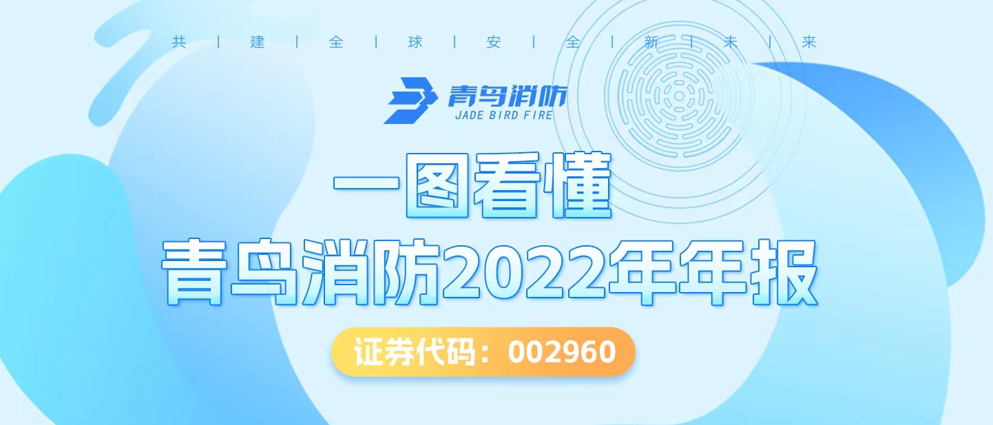 一图看懂CC国际2022年年报