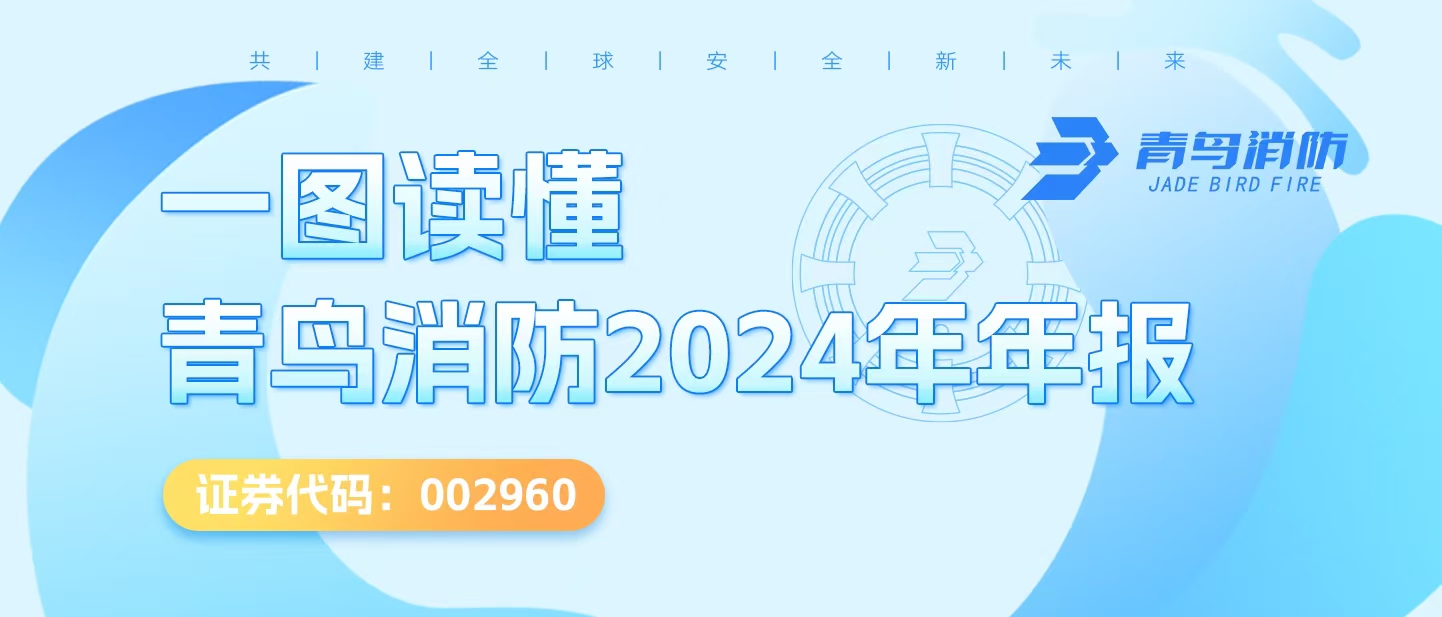 一图读懂CC国际2024年年报