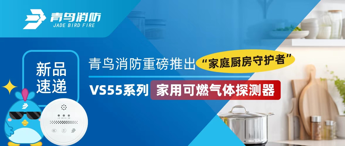 新品快递 | CC国际沉磅推出&ldquo;家庭厨房守护者&rdquo;&mdash;&mdash;VS55系列家用可燃气体探测器
